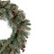 Prelit Snowy Waterloo Pine Artificial Christmas Wreath with Clear Lights 24 Inch
